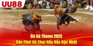 Đá Gà Thomo 2025 - Sân Chơi Gà Chọi Hấp Dẫn Bậc Nhất